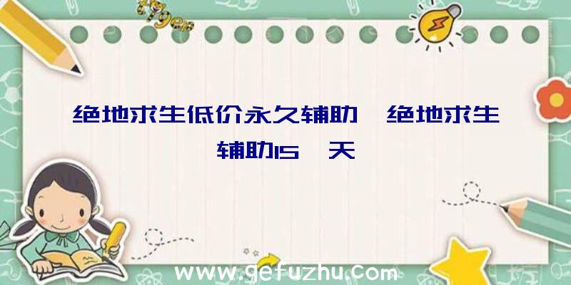 绝地求生低价永久辅助、绝地求生辅助15一天