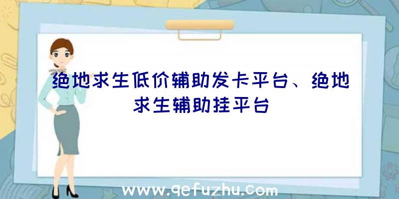 绝地求生低价辅助发卡平台、绝地求生辅助挂平台