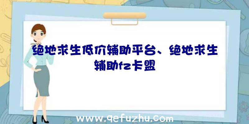 绝地求生低价辅助平台、绝地求生辅助fz卡盟