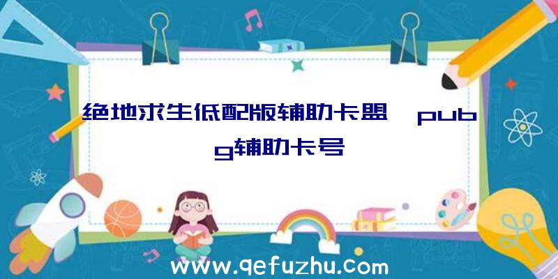 绝地求生低配版辅助卡盟、pubg辅助卡号