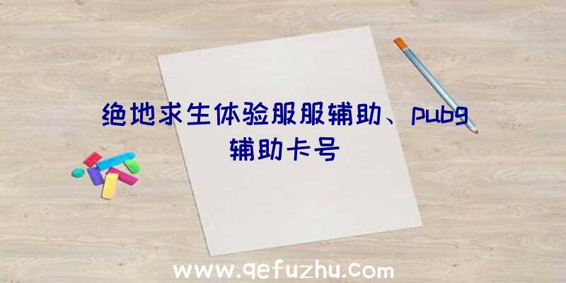 绝地求生体验服服辅助、pubg辅助卡号