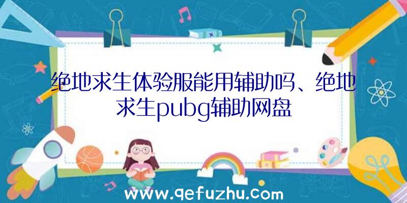 绝地求生体验服能用辅助吗、绝地求生pubg辅助网盘