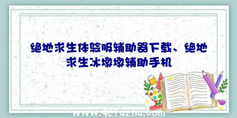 绝地求生体验服辅助器下载、绝地求生冰墩墩辅助手机