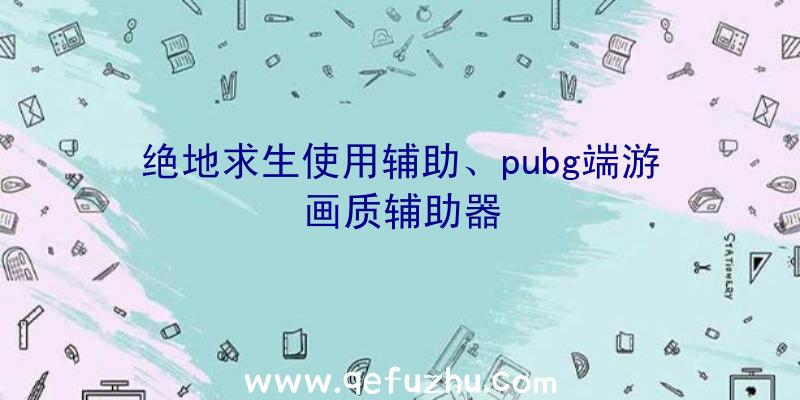 绝地求生使用辅助、pubg端游画质辅助器