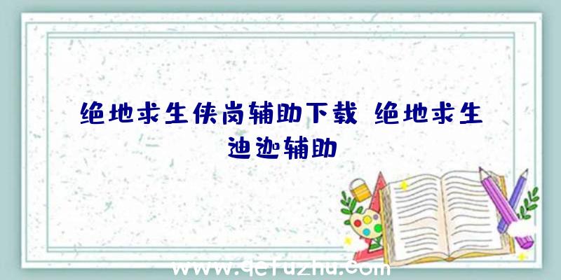 绝地求生侠岗辅助下载、绝地求生迪迦辅助