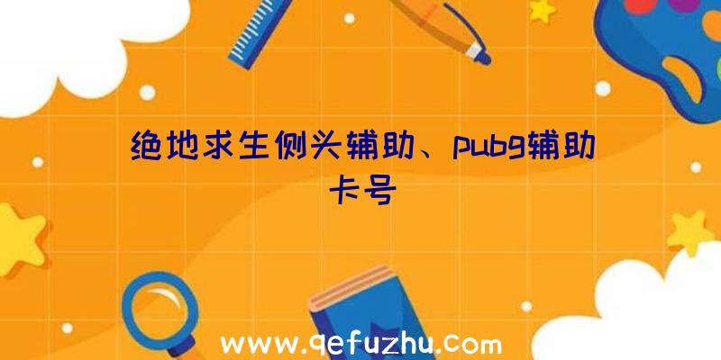 绝地求生侧头辅助、pubg辅助卡号