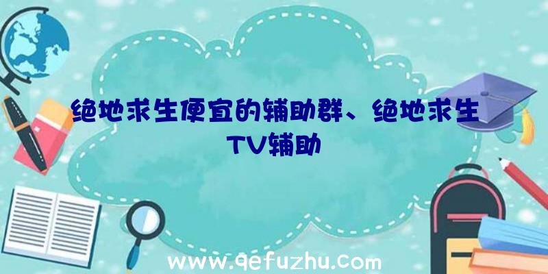 绝地求生便宜的辅助群、绝地求生TV辅助