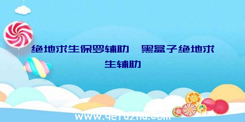 绝地求生保罗辅助、黑盒子绝地求生辅助