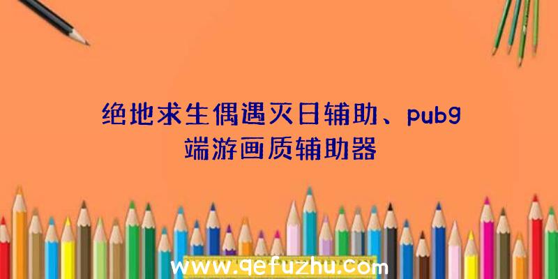 绝地求生偶遇灭日辅助、pubg端游画质辅助器