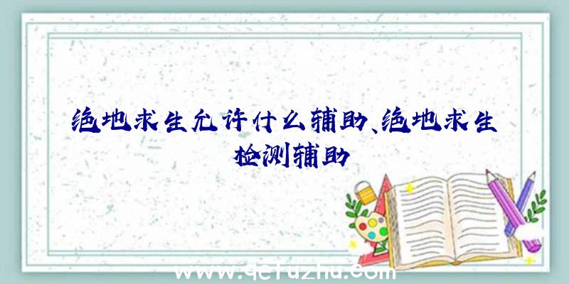 绝地求生允许什么辅助、绝地求生