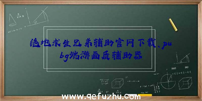 绝地求生兄弟辅助官网下载、pubg端游画质辅助器