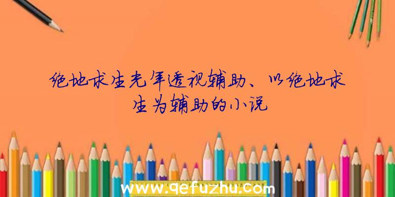 绝地求生光年透视辅助、以绝地求生为辅助的小说