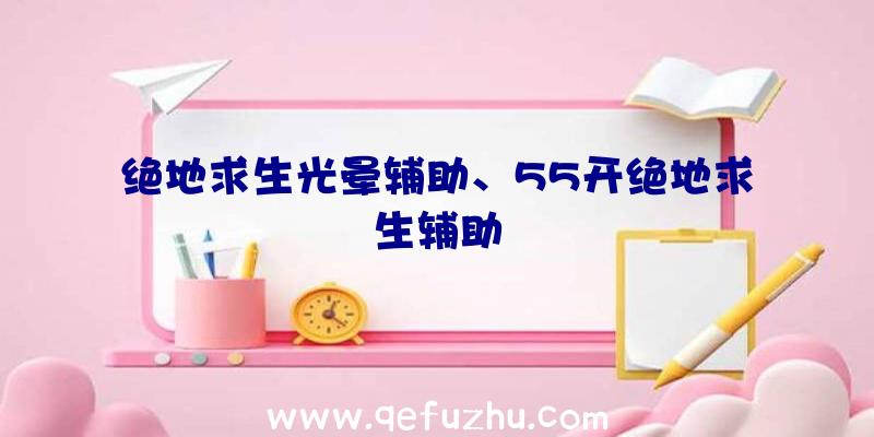 绝地求生光晕辅助、55开绝地求生辅助