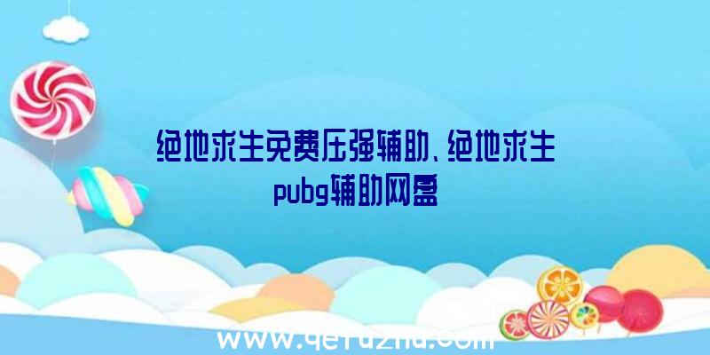 绝地求生免费压强辅助、绝地求生pubg辅助网盘