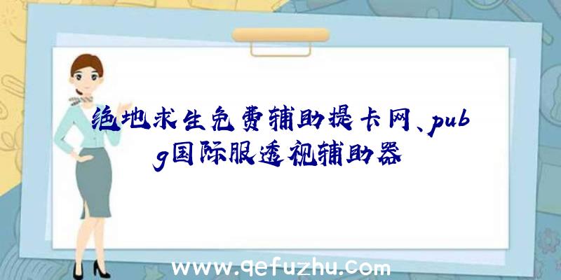 绝地求生免费辅助提卡网、pubg国际服透视辅助器