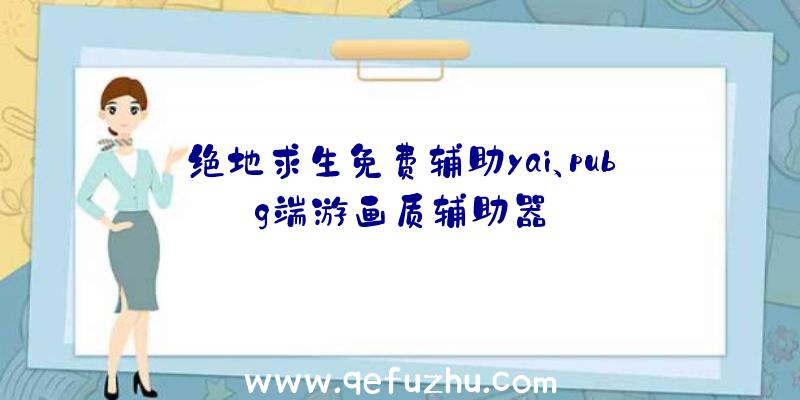 绝地求生免费辅助yai、pubg端游画质辅助器