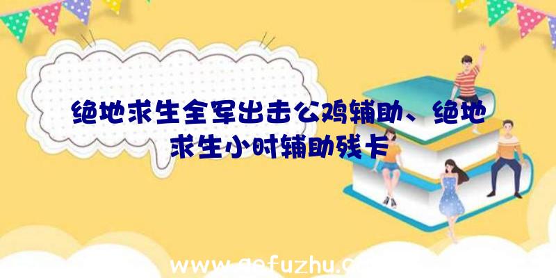 绝地求生全军出击公鸡辅助、绝地求生小时辅助残卡