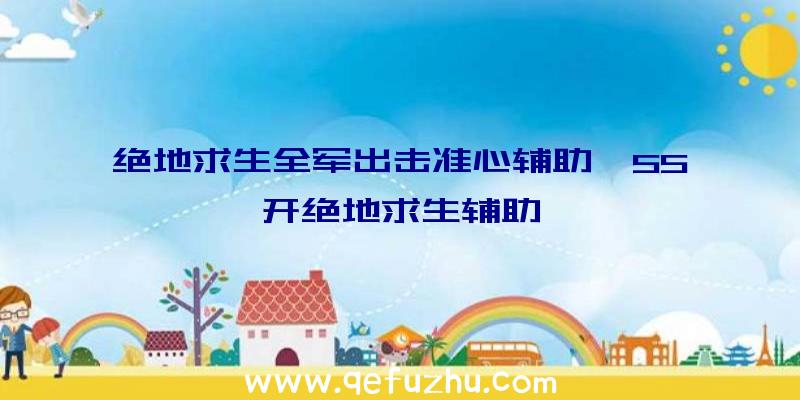 绝地求生全军出击准心辅助、55开绝地求生辅助