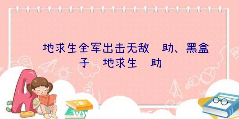 绝地求生全军出击无敌辅助、黑盒子绝地求生辅助