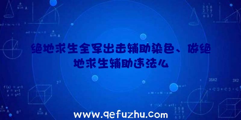 绝地求生全军出击辅助染色、做绝地求生辅助违法么