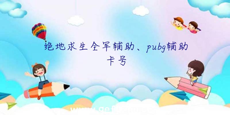 绝地求生全军辅助、pubg辅助卡号