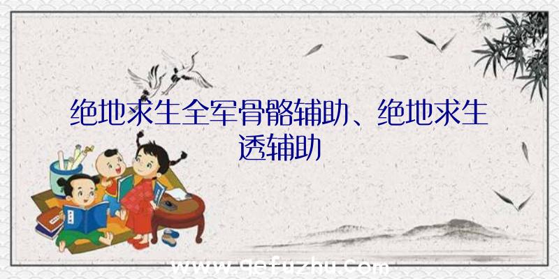 绝地求生全军骨骼辅助、绝地求生透辅助