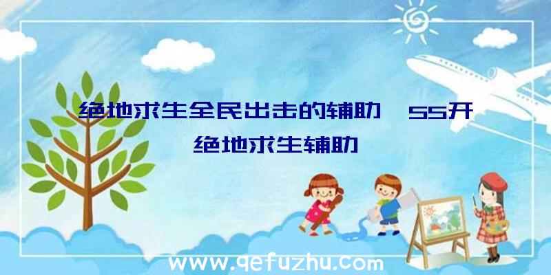 绝地求生全民出击的辅助、55开绝地求生辅助