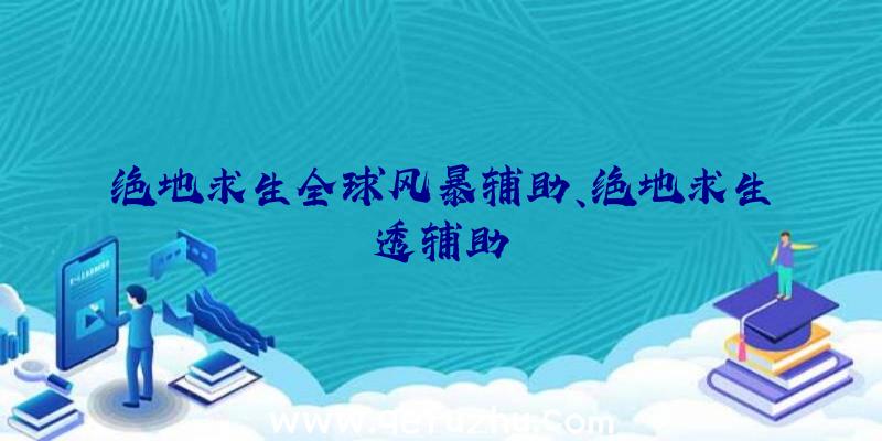 绝地求生全球风暴辅助、绝地求生透辅助