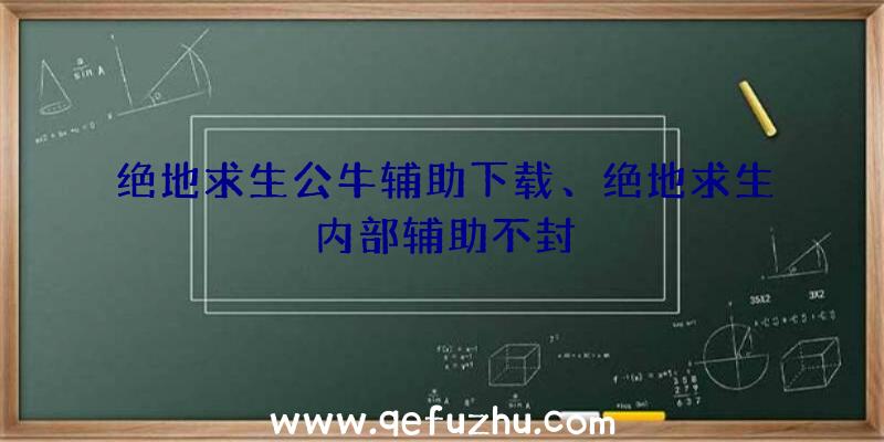 绝地求生公牛辅助下载、绝地求生内部辅助不封