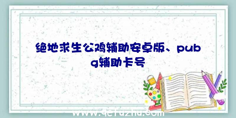 绝地求生公鸡辅助安卓版、pubg辅助卡号