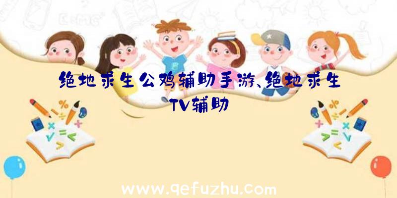 绝地求生公鸡辅助手游、绝地求生TV辅助