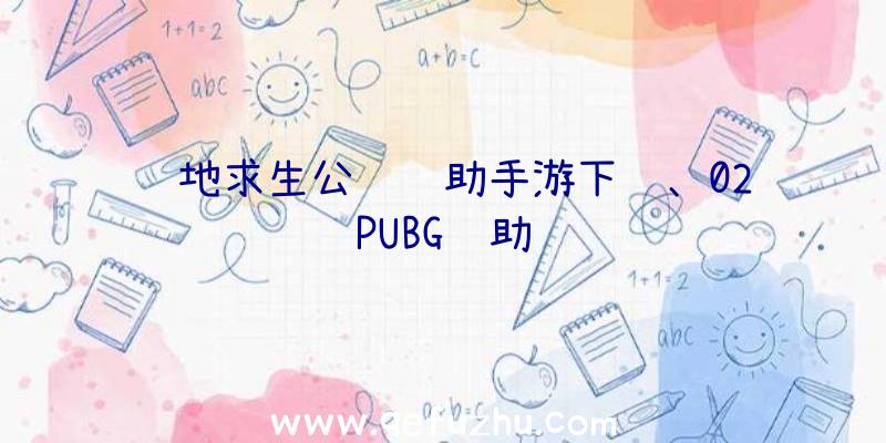 绝地求生公鸡辅助手游下载、02PUBG辅助