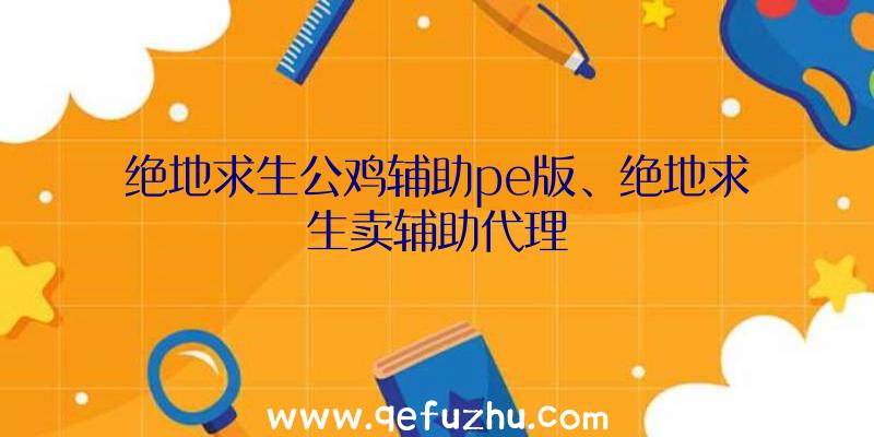 绝地求生公鸡辅助pe版、绝地求生卖辅助代理