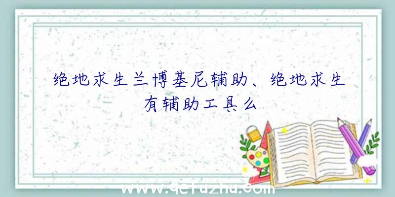 绝地求生兰博基尼辅助、绝地求生有辅助工具么