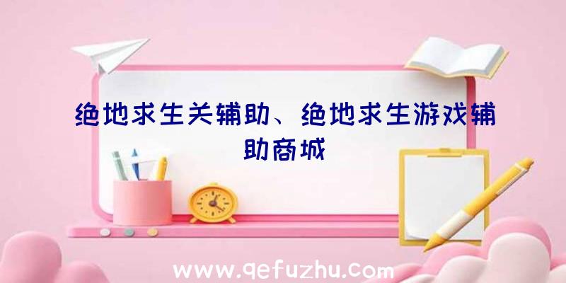 绝地求生关辅助、绝地求生游戏辅助商城