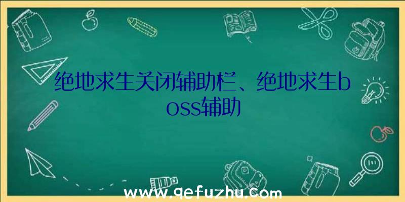 绝地求生关闭辅助栏、绝地求生boss辅助