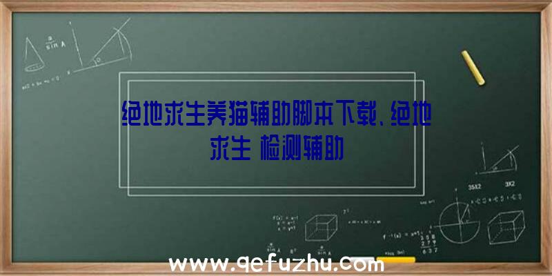 绝地求生养猫辅助脚本下载、绝地求生