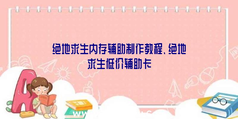 绝地求生内存辅助制作教程、绝地求生低价辅助卡