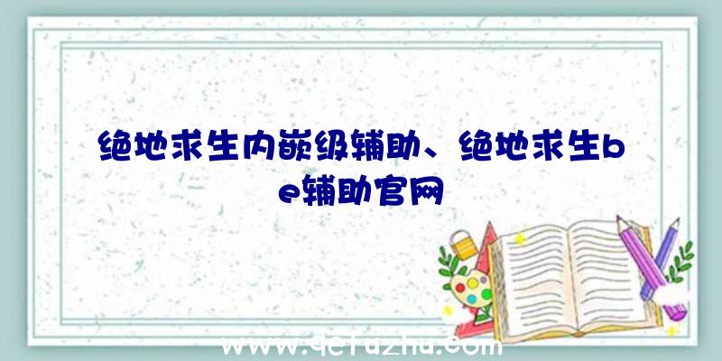 绝地求生内嵌级辅助、绝地求生be辅助官网