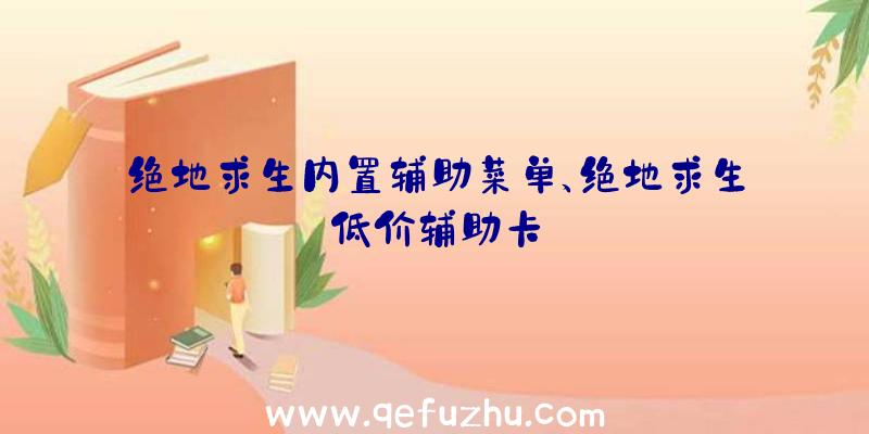 绝地求生内置辅助菜单、绝地求生低价辅助卡