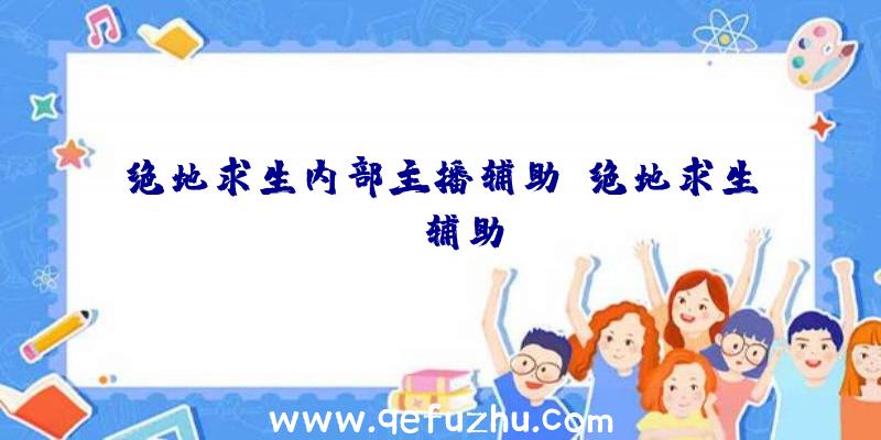 绝地求生内部主播辅助、绝地求生wk辅助