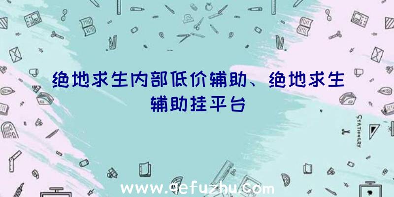 绝地求生内部低价辅助、绝地求生辅助挂平台