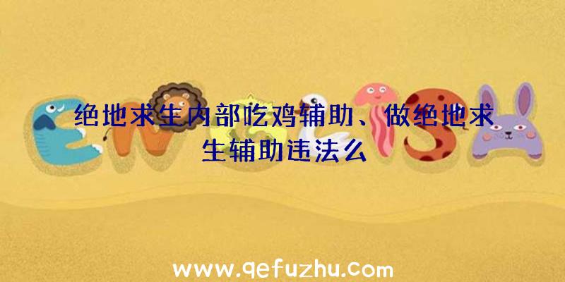 绝地求生内部吃鸡辅助、做绝地求生辅助违法么