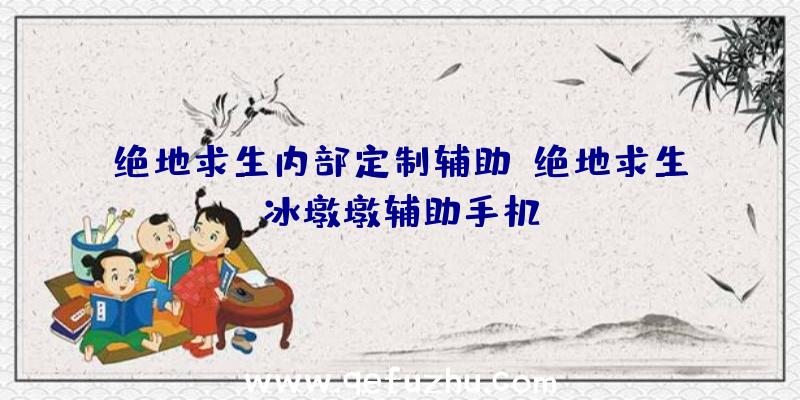 绝地求生内部定制辅助、绝地求生冰墩墩辅助手机