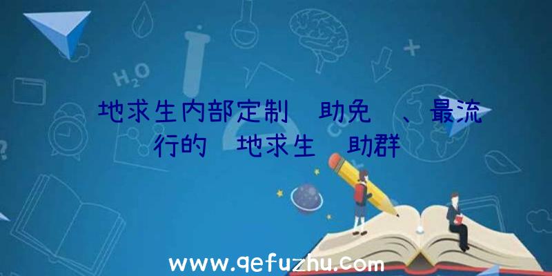 绝地求生内部定制辅助免费、最流行的绝地求生辅助群