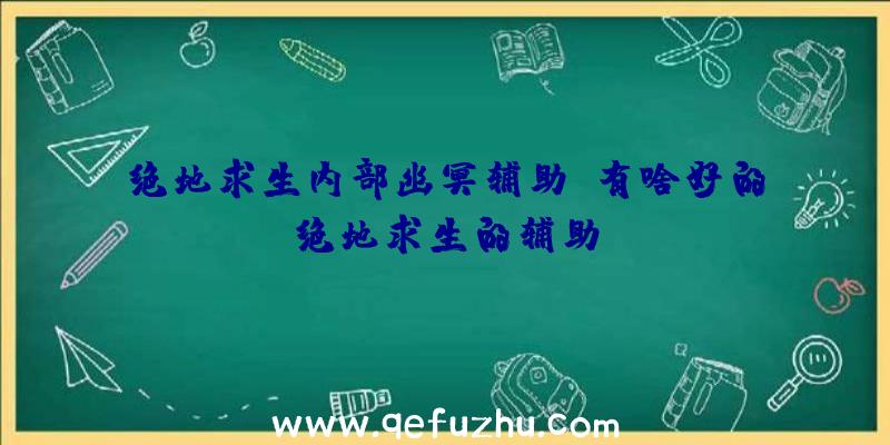 绝地求生内部幽冥辅助、有啥好的绝地求生的辅助