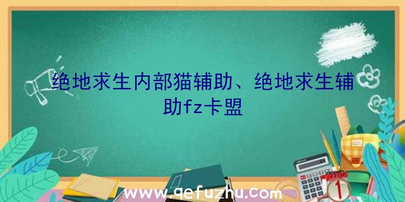 绝地求生内部猫辅助、绝地求生辅助fz卡盟