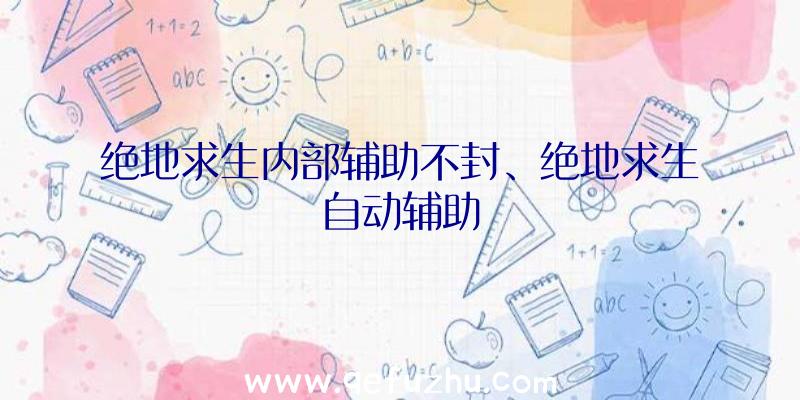 绝地求生内部辅助不封、绝地求生自动辅助