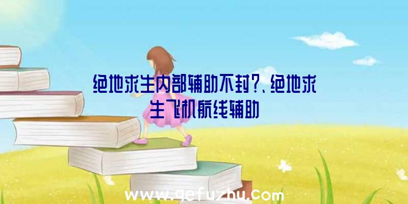 绝地求生内部辅助不封？、绝地求生飞机航线辅助