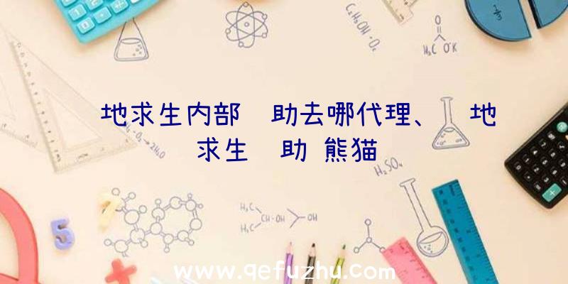 绝地求生内部辅助去哪代理、绝地求生辅助